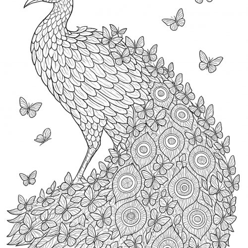 Mandala Pfau mit Schmetterlingen